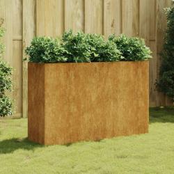 Lit surélevé de jardin 120x40x80 cm acier corten alsavelo