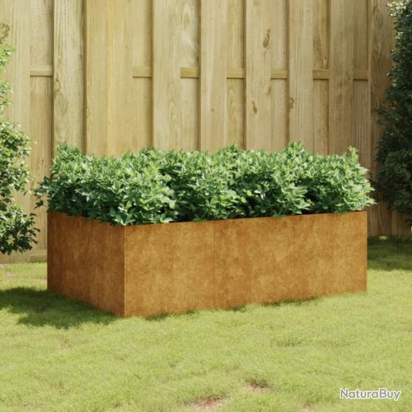 Lit surlev de jardin 120x80x40 cm acier corten