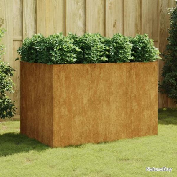 Lit surlev de jardin 120x80x80 cm acier corten