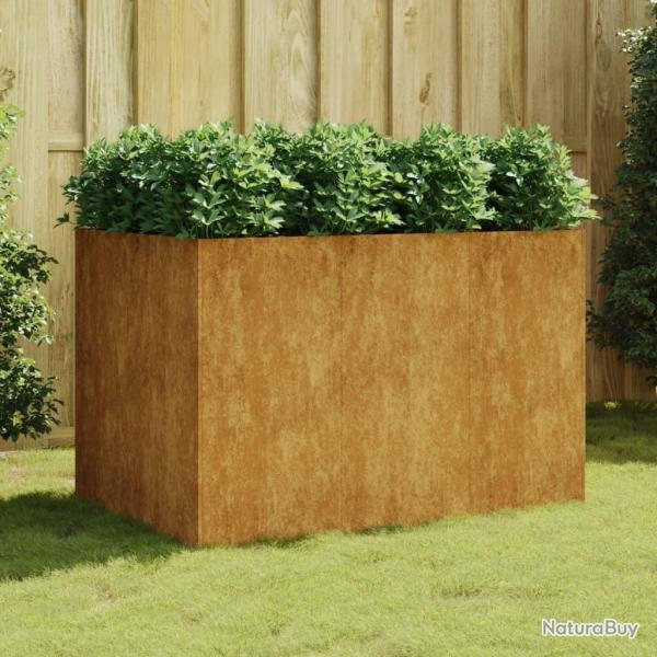 Lit surlev de jardin 120x80x80 cm acier corten alsavelo