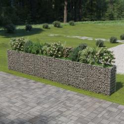 Lit surélevé à gabion Acier galvanisé 540x50x100 cm alsavelo