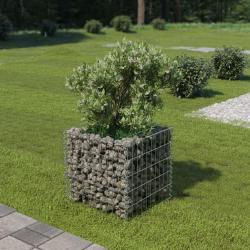 Lit surélevé à gabion Acier galvanisé 50x50x50 cm alsavelo
