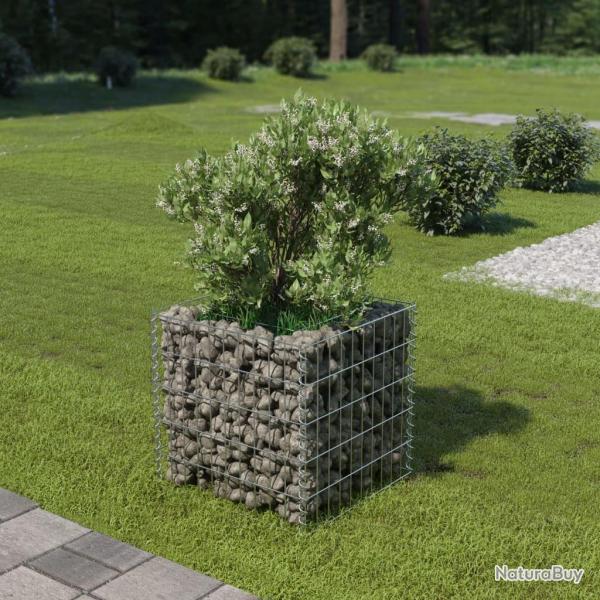 Lit surlev  gabion Acier galvanis 50x50x50 cm alsavelo