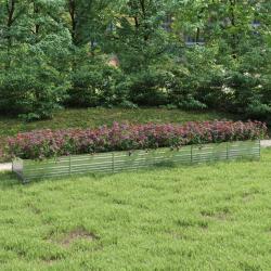 Lit surélevé de jardin 600x80x45 cm Acier galvanisé Argenté alsavelo