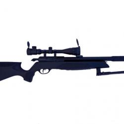 PACK-X GAMO ARROW Cal. 4,5 mm + Lunette 4-16 x 40AO 19,9 joul. + sacoche + plombs + cibles + support