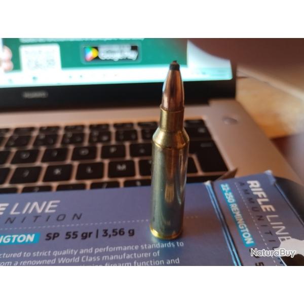 MUNITION PPU Cal 22-250 SP 55 GR