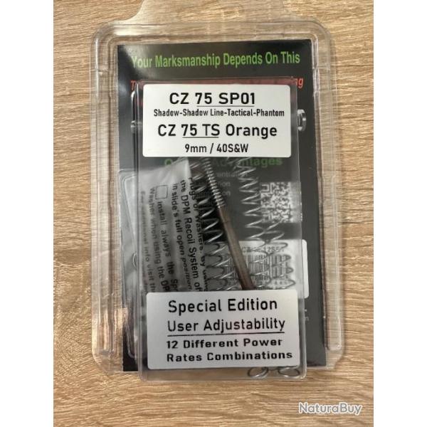 Kit dpm cz 75 sp01 / cz 75 ts
