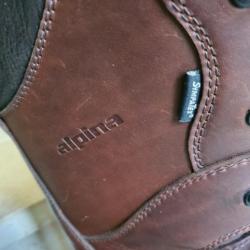 Chaussures cuirs alpina grand froid