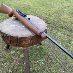 RUGER 10/22 en 2+1 catégorie C à un euro sans prix de réserve