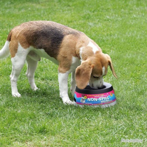 Road Refresher Bol  eau pour animaux de compagnie L Gris LGRR alsavelo