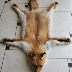 renard de sibérie naturalisé tapis moderne