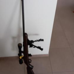 Carabine 22 LR NORINCO