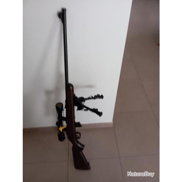 Carabine 22 LR NORINCO