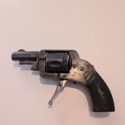 Revolver bulldog hammerless