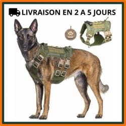 Harnais pour chien - Vert armée - S, M, L - Livraison gratuite