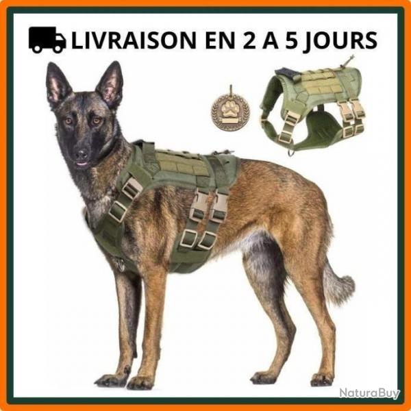 Harnais pour chien - Vert arme - S, M, L - Livraison gratuite