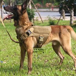 Harnais Tactique Chien TAN - Standard Militaire - MOLLE - SKX INDUSTRIES