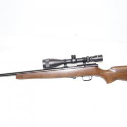 carabine 17hmr rws