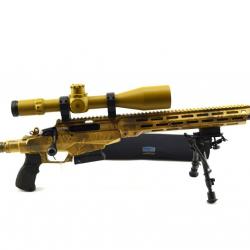 Carabine Tikka 308W avec préparé TLD