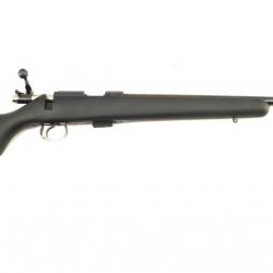 Carabine CZ 455 22LR