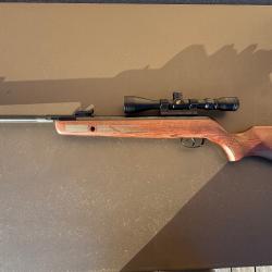 Carabine a plomb gamo hunter 440 as Occasion