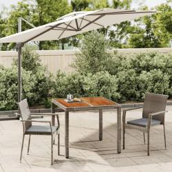 Ensemble à manger de jardin 3 pcs coussins gris résine tressée alsavelo