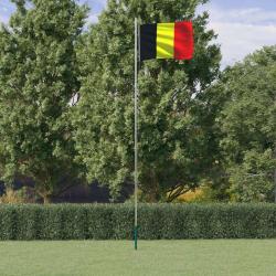 Drapeau de la Belgique et mât 6,23 m Aluminium alsavelo