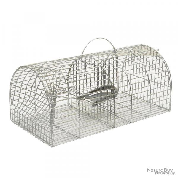 Nasses  rat (lot de 3)