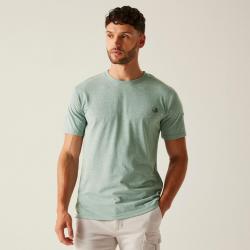 Tee Shirt Benlie Regatta Vert