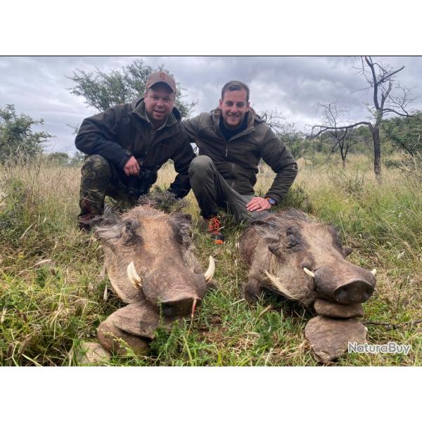 Package animaux non trophe Afrique du Sud