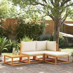 Salon de jardin avec coussins 4 pcs bois d'acacia massif alsavelo