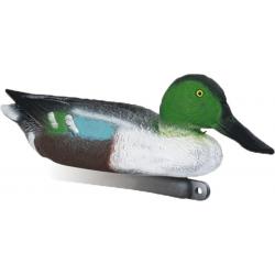 Forme de canard souchet male Stepland