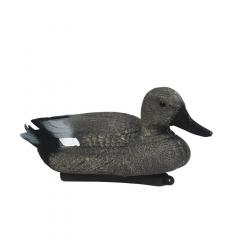 Forme de canard chipeau male Stepland