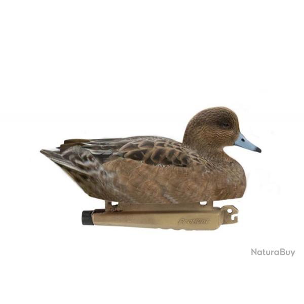 Forme de canard siffleur femelle ultra HD insubmersible Stepland