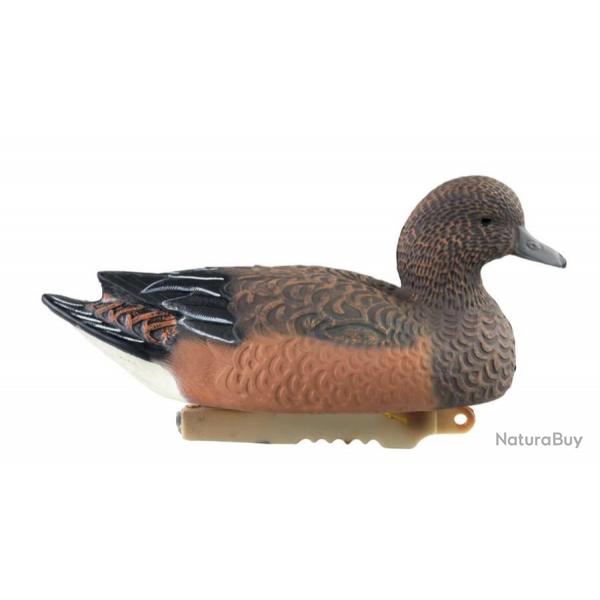 Forme de canard siffleur femelle HD Stepland