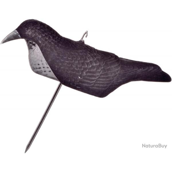 Coquille corbeau magnum floque Stepland