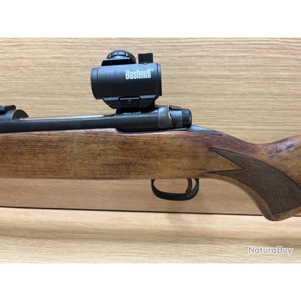 Carabine  verrou Savage cal 270WIN avec son point rouge Bushnell  1 sans prix de rserve !