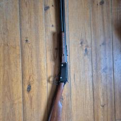 Carabine Henry 22 magnum