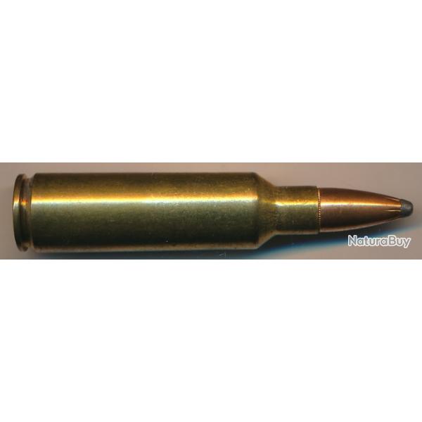 (11571) UNE CARTOUCHE 300 WWINCHESTER SHORT MAG- GRANDE CHASSE Chargement d'origine