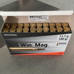 Munitions 300 win-mag