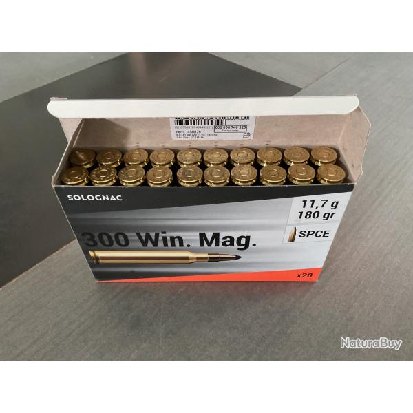 Munitions 300 win-mag