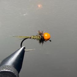 nymphe pheasant tail