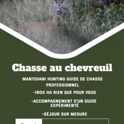 chasse guidée brocard tir d'été