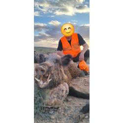 Tunisie 5 jours de chasse.