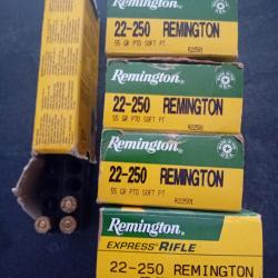 Munitions 22-250 remington