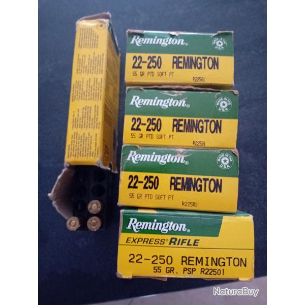 Munitions 22-250 remington