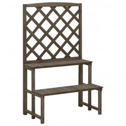 Support de plantes et treillis Gris 70x42x115 cm Bois de sapin alsavelo