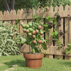 Supports pour plantes de jardin 3 anneaux 5pcs Vert 45 cm Acier alsavelo