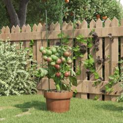 Supports pour plantes de jardin 3 anneaux 5pcs Vert 60 cm Acier alsavelo