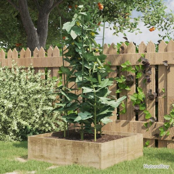 Supports pour plantes de jardin 3 anneaux 5pcs Vert 75 cm Acier alsavelo